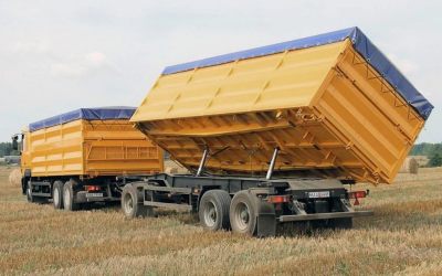 Услуги зерновозов для перевозки зерна - Владимир, цены, предложения специалистов