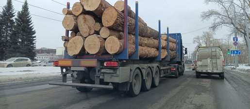 Поиск транспорта для перевозки леса, бревен и кругляка стоимость услуг и где заказать - Владимир